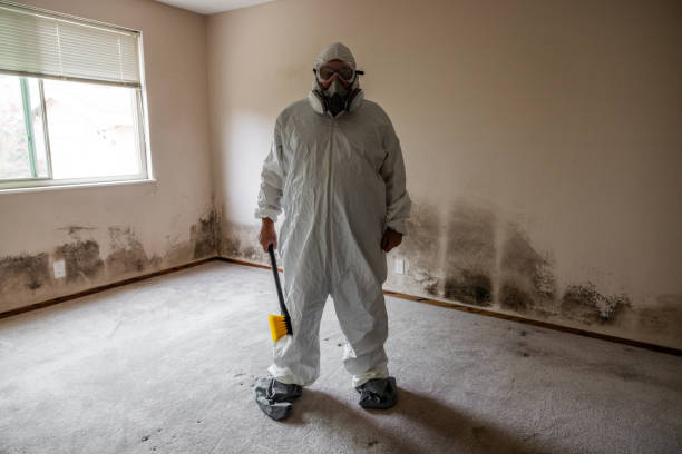 Best Residential Mold Removal  in Ravenna, NE